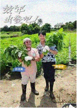 久久免费播放综艺分类入口